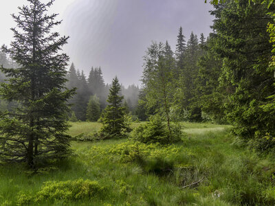 Maurienne_07-2024, P1095918