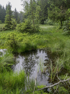 Maurienne_07-2024, P1095920