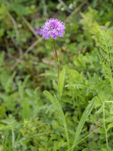 Maurienne_07-2024, P1095932