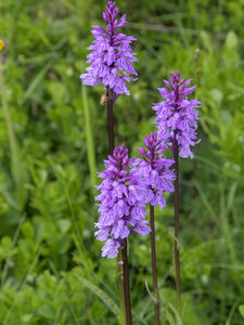 Maurienne_07-2024, P1095943