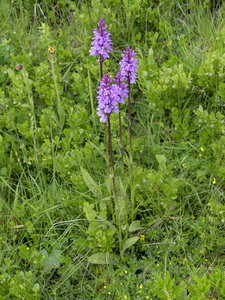 Maurienne_07-2024, P1095944