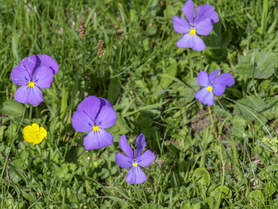 Maurienne_07-2024, P1095859