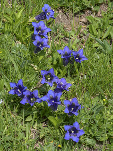 Maurienne_07-2024, P1095860