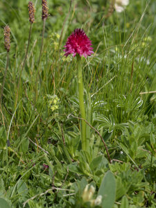 Maurienne_07-2024, P1095861