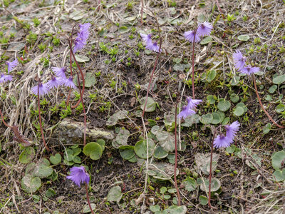 Maurienne_07-2024, P1095878