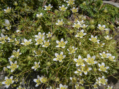 Maurienne_07-2024, P1095828