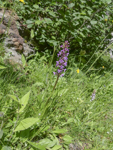 Maurienne_07-2024, P1095829