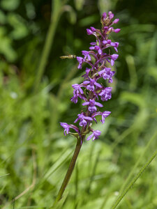 Maurienne_07-2024, P1095830