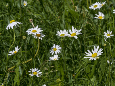 Maurienne_07-2024, P1095836