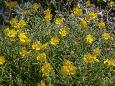 Maurienne_07-2024, P1095838