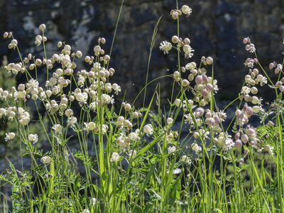 Maurienne_07-2024, P1095843