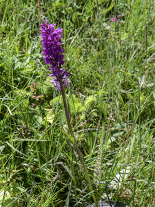 Maurienne_07-2024, P1095844