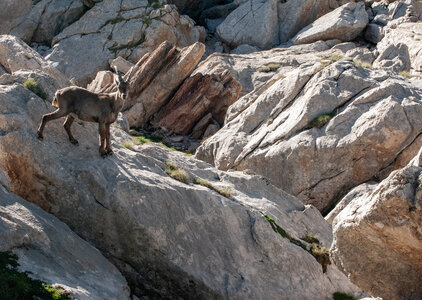 Les Couniets,Vars, la Mortice par le lac des 9 couleurs le 15072024, DSC_0097