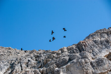 Les Couniets,Vars, la Mortice par le lac des 9 couleurs le 15072024, DSC_0150