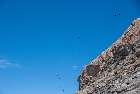 Les Couniets,Vars, la Mortice par le lac des 9 couleurs le 15072024, DSC_0155