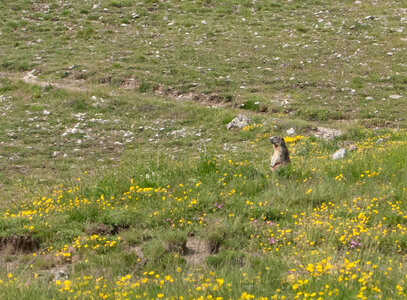 Les Couniets,Vars, la Mortice par le lac des 9 couleurs le 15072024, DSC_0231