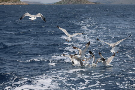 Visit Kornati_Ship_2024-june-30, 049A7930