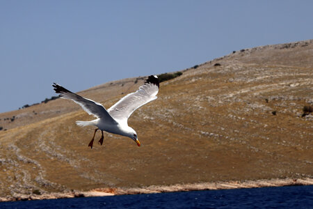 Visit Kornati_Ship_2024-june-30, 049A8038