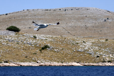 Visit Kornati_Ship_2024-june-30, 049A8086