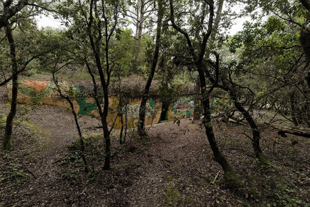 @fmbdx@piaille.fr 2024, Les Arros, Soulac, Gironde