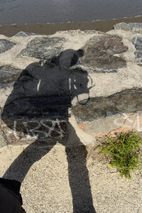 @fmbdx@piaille.fr 2024, Entre Arcachon et La Hume, Gironde