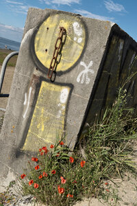 @fmbdx@piaille.fr 2024, Entre Arcachon et La Hume, Gironde