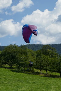 Breitenbach le 20 juillet 2024, P1010920