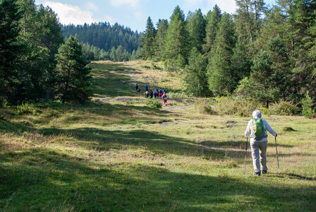 Le Collet  Ancelle, Boucle au départ du Collet, l’Oratoire, la Source, Chatégré, et le Mont St Philippe.2307202, DSC_0041