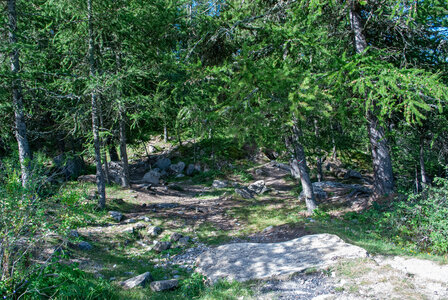 Le Collet  Ancelle, Boucle au départ du Collet, l’Oratoire, la Source, Chatégré, et le Mont St Philippe.2307202, DSC_0051