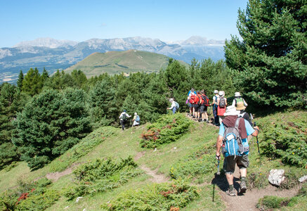 Le Collet  Ancelle, Boucle au départ du Collet, l’Oratoire, la Source, Chatégré, et le Mont St Philippe.2307202, DSC_0118