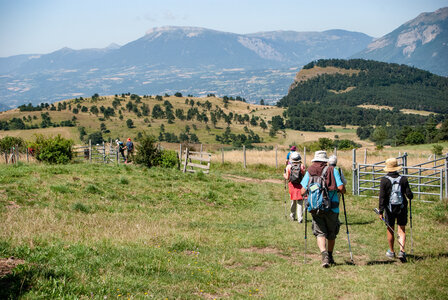 Le Collet  Ancelle, Boucle au départ du Collet, l’Oratoire, la Source, Chatégré, et le Mont St Philippe.2307202, DSC_0126