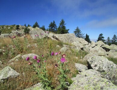 Boucle Le Collet Chateau Ancelle St Philippe , IMG_4857