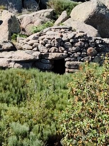 Orri Eus_Molitg, Eus_3c (près dolmen)