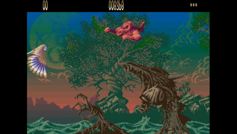 Amiga Pi400 Pi500, Agony