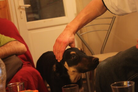 Dimanche 30!, IMG_7369