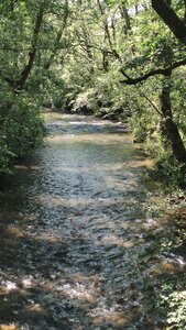 La Bourboule - Saint-Sauves, IMG_20240726_142549