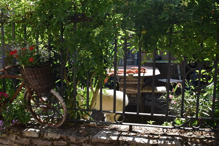 Africajarc 2024, DSC_0230