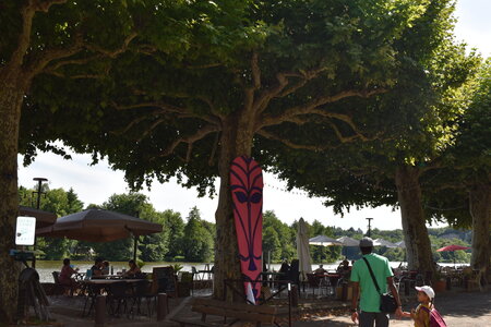 Africajarc 2024, DSC_0235
