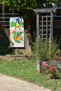 Africajarc 2024, DSC_0625