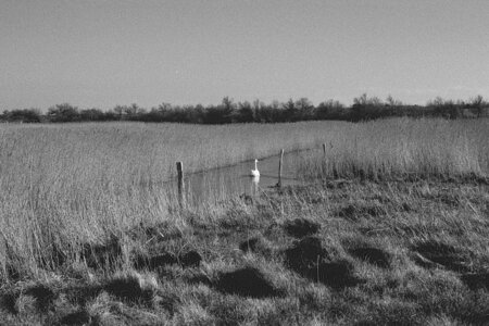 2024_03_10_kentmere400_fujicast705, 2024_05_01_kentmere400_fujicast705_15_wordpress