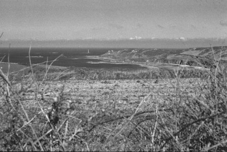 2024_03_10_kentmere400_fujicast705, 2024_05_01_kentmere400_fujicast705_24_wordpress