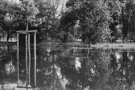 2024_07_09_kentmere100_minoltasrt101, 2024-07-09_kentmere_100_MinoltaSRT101_06_wordpress