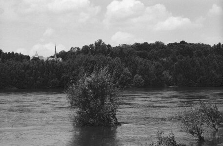 2024_07_09_kentmere100_minoltasrt101, 2024-07-09_kentmere_100_MinoltaSRT101_20_wordpress