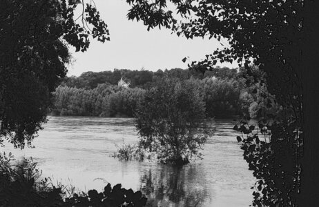 2024_07_09_kentmere100_minoltasrt101, 2024-07-09_kentmere_100_MinoltaSRT101_25_wordpress