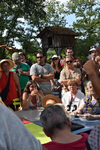 Musicalarue 2024, DSC_0372