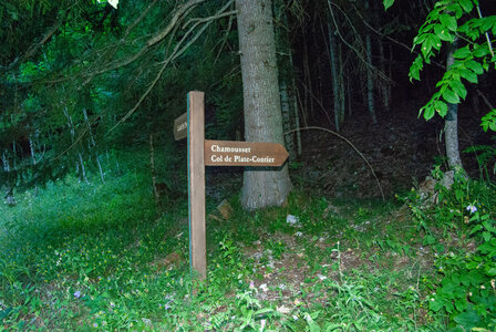 Tête de Garnesier et des Ormans départ de Chabottes dans le Dévoluy le 05082024, DSC_0005