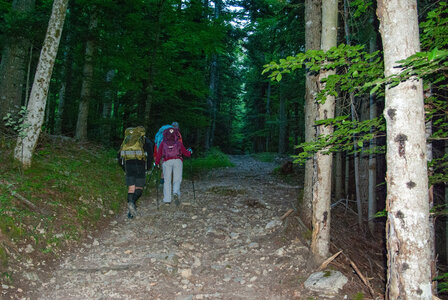 Tête de Garnesier et des Ormans départ de Chabottes dans le Dévoluy le 05082024, DSC_0006
