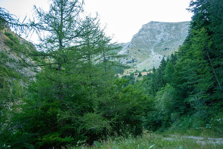 Tête de Garnesier et des Ormans départ de Chabottes dans le Dévoluy le 05082024, DSC_0007