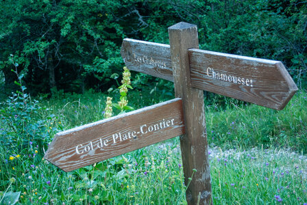Tête de Garnesier et des Ormans départ de Chabottes dans le Dévoluy le 05082024, DSC_0009