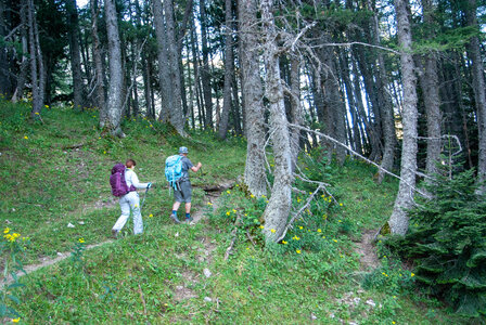 Tête de Garnesier et des Ormans départ de Chabottes dans le Dévoluy le 05082024, DSC_0043